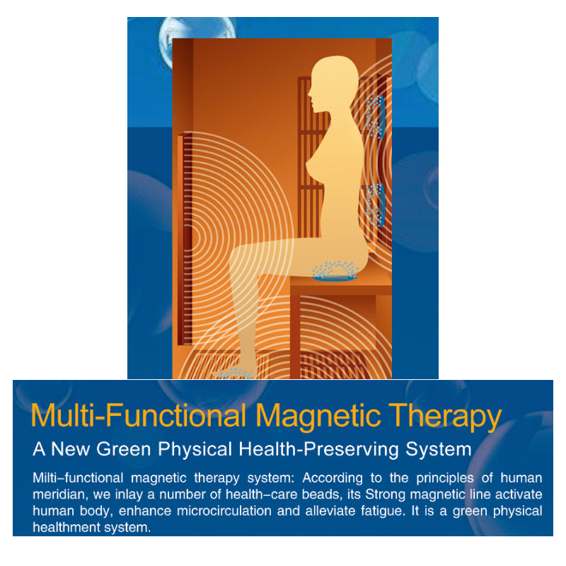 Multi-Functional Magnetic Therapy